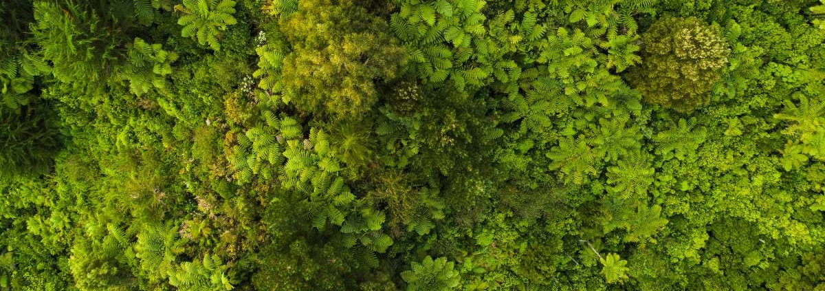 Como Proteger Taludes e Solo com Sustentabilidade e Eficiência