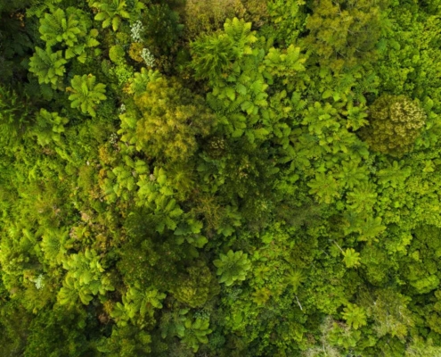 Como Proteger Taludes e Solo com Sustentabilidade e Eficiência