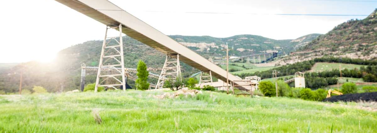 Índice Pluviométrico e a Germinação em Infraestrutura Verde