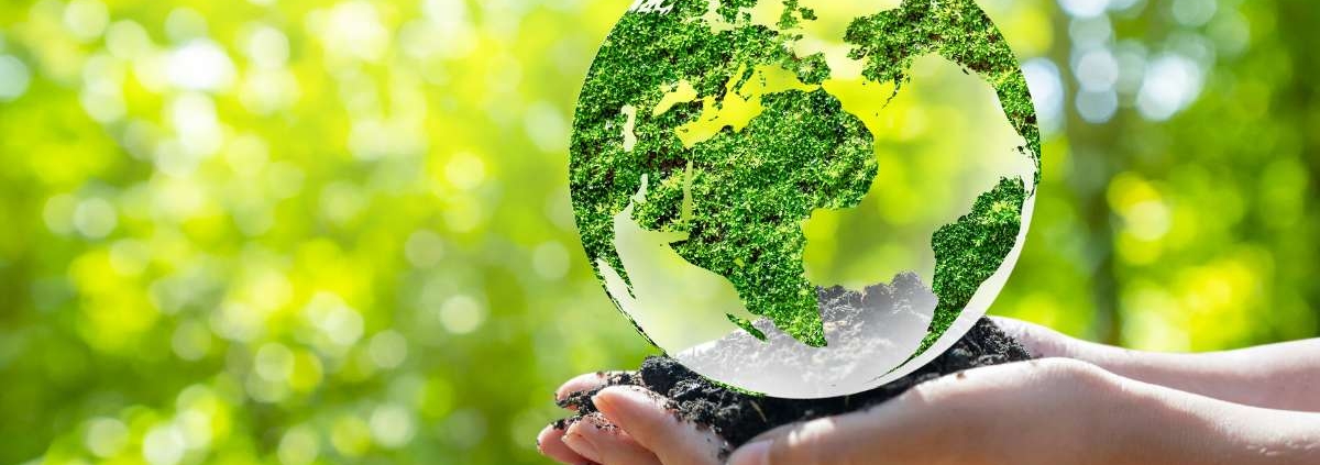 Dormência de Sementes e a Recuperação Ambiental Gradual