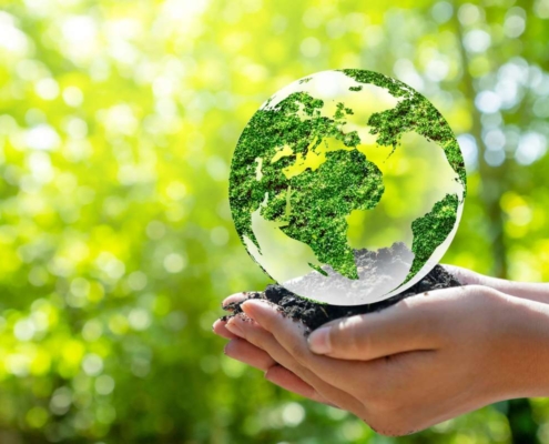 Dormência de Sementes e a Recuperação Ambiental Gradual