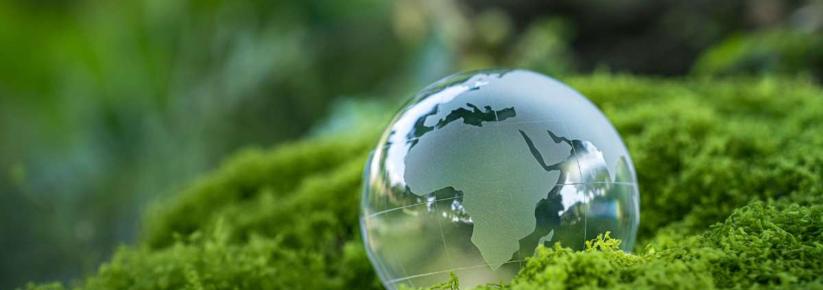 Projetos de bioengenharia na recuperação sustentável