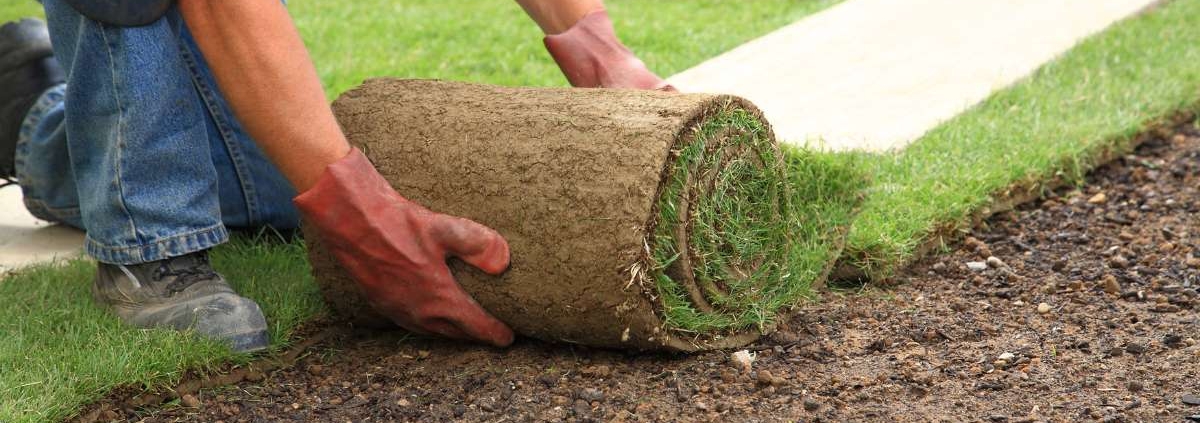 Grama em placas em obras: cobertura e proteção do solo