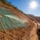Recuperação vegetal sob sol intenso: desafios técnicos